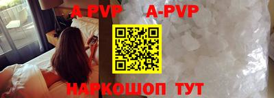 гашик Можга