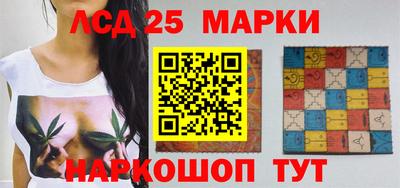 гашик Можга