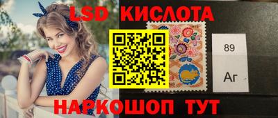 гашик Можга