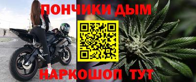 гашик Можга