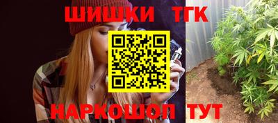 гашик Можга