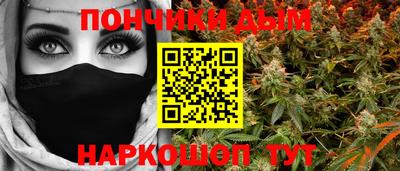 гашик Можга