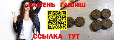 гашик Можга