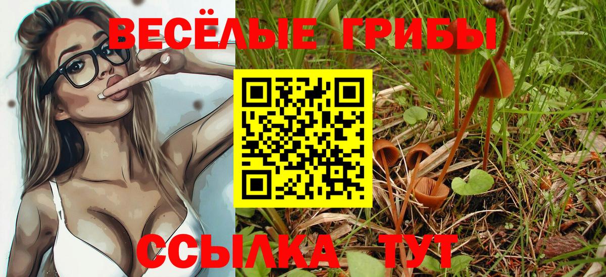 Галлюциногенные грибы GOLDEN TEACHER  Галлюциногенные грибы мухоморы  Пугачёв  Вход с VPN 